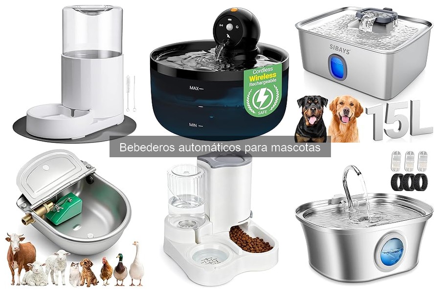 Bebederos automáticos vs. tradicionales: Comparativa completa