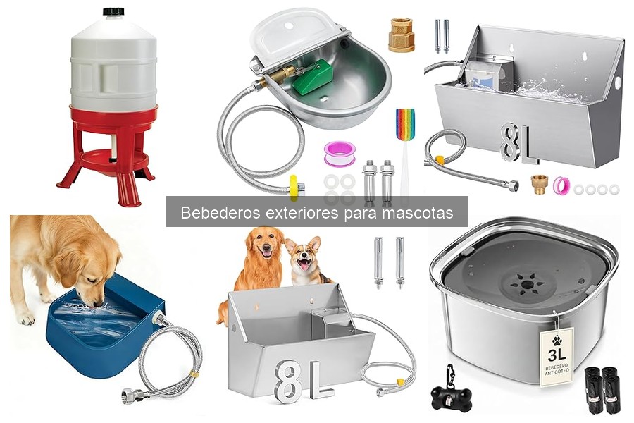 Bebederos Exteriores para Mascotas: ¿Qué Son y Para Qué Sirven?