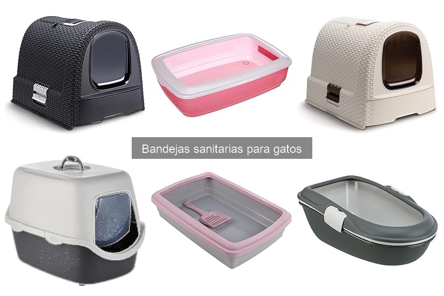 Beneficios de bandejas sanitarias para gatos: materiales esenciales