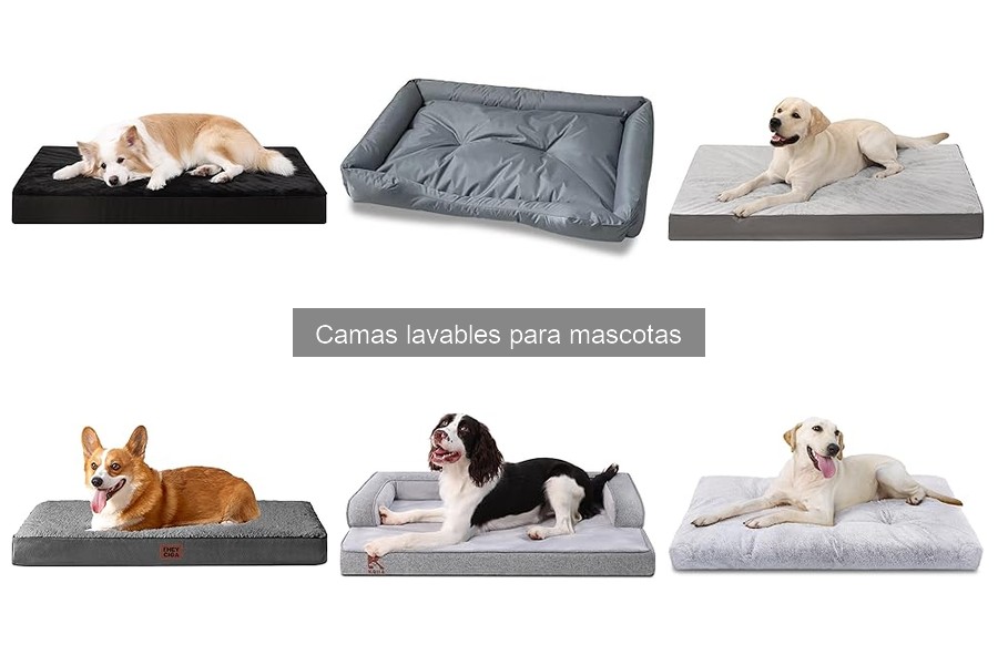 Beneficios de Camas Lavables para Mascotas: Comodidad y Higiene