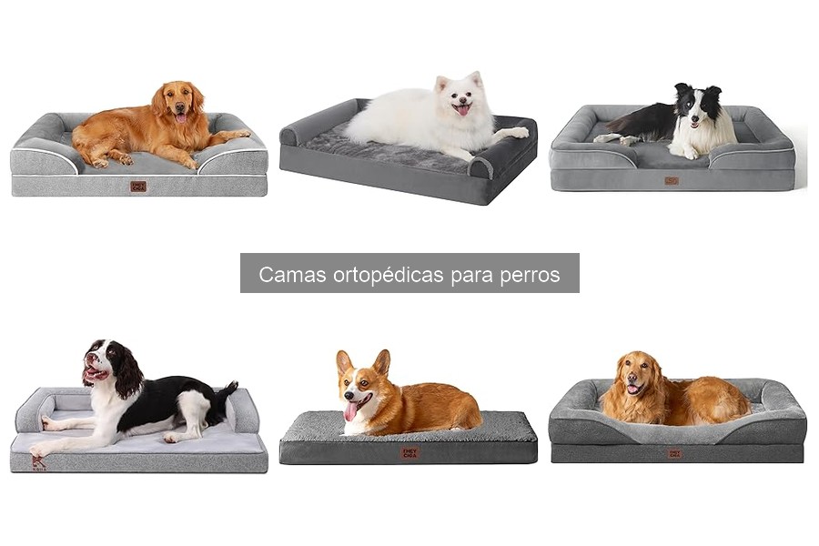 Beneficios de las Camas Ortopédicas para Perros Mayores