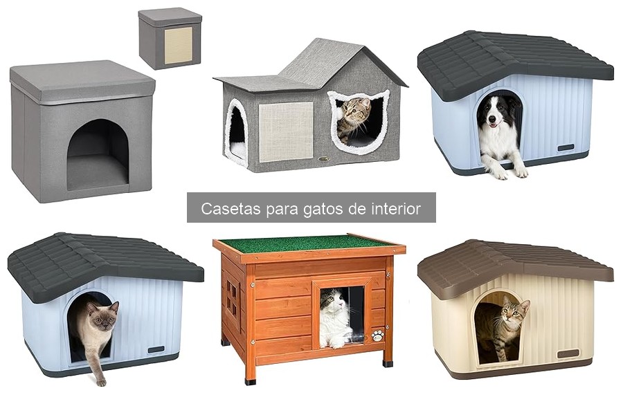 Beneficios de las Casetas para Gatos de Interior
