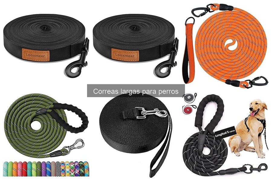 Beneficios de las correas largas para el entrenamiento de perros