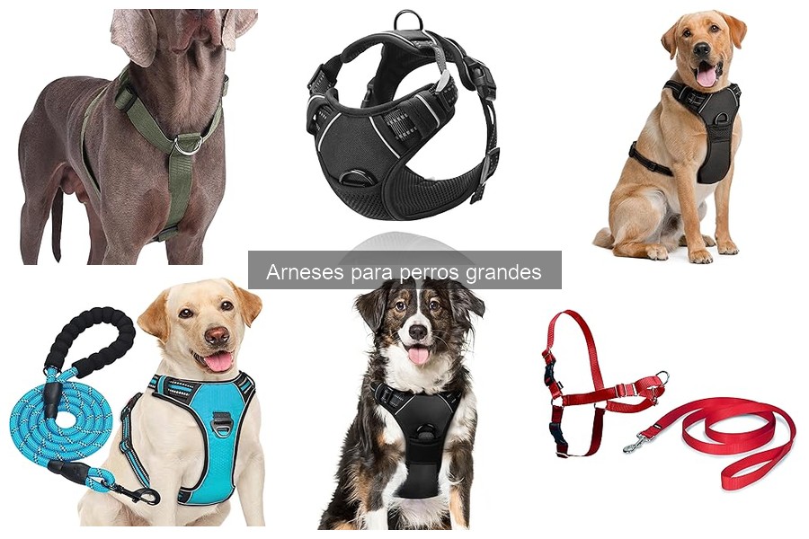 Beneficios de los Arnés Tipo Chaleco para Perros Grandes