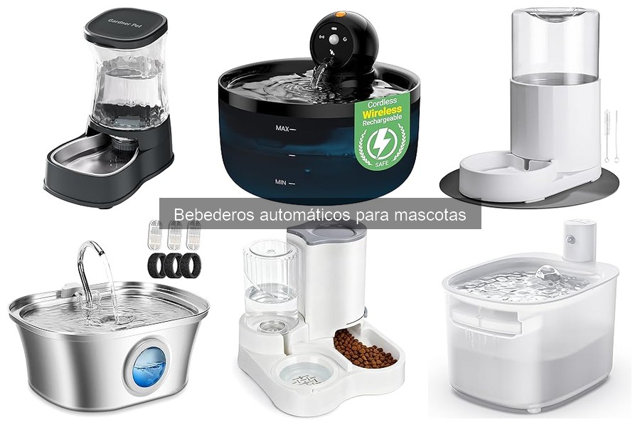 Beneficios de los Bebederos Automáticos para Mascotas Mayores