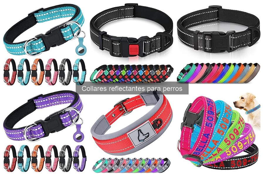 Beneficios de los collares reflectantes para perros: seguridad y visibilidad