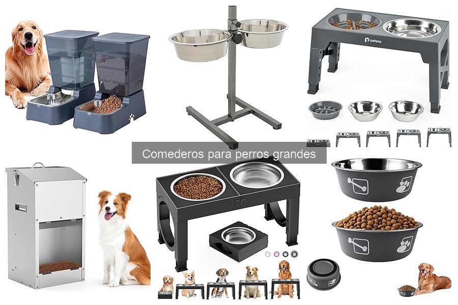 Beneficios de los Comederos Elevados para Perros Grandes