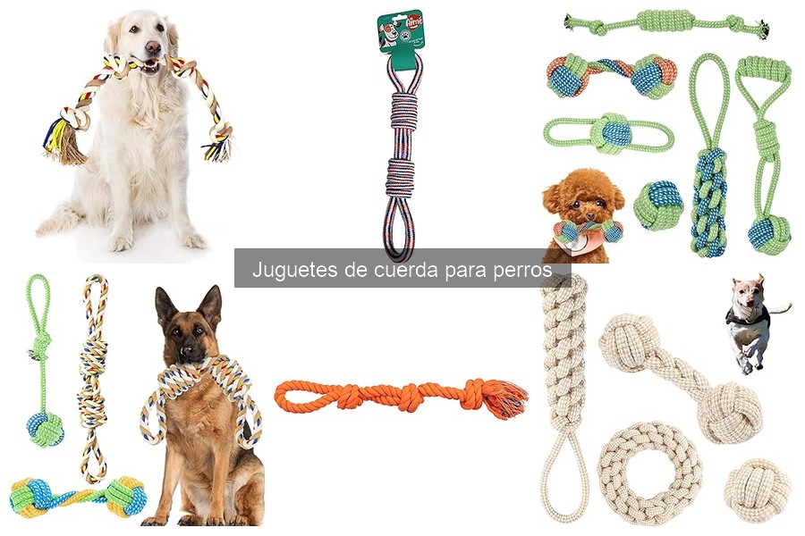 Beneficios de los juguetes de cuerda para perros