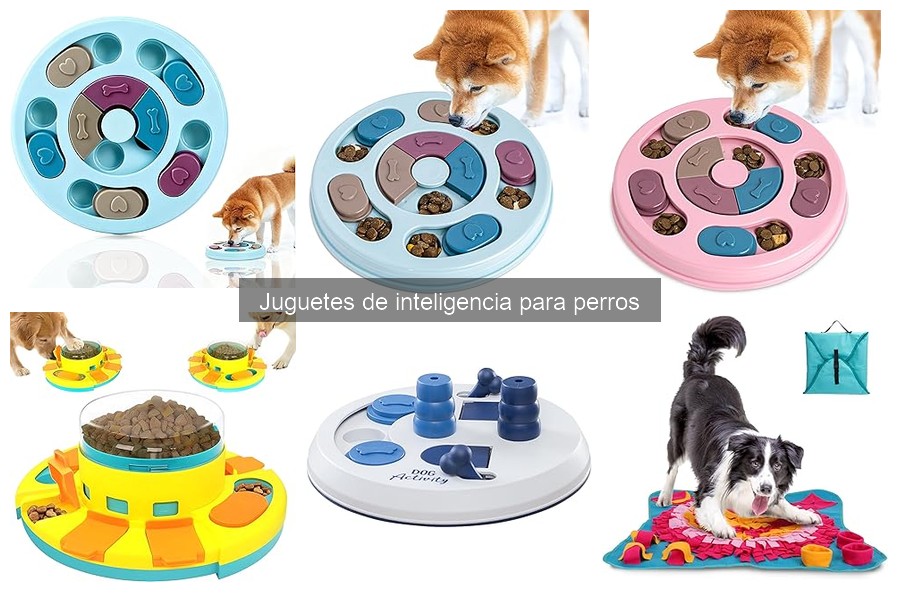 Beneficios de los Juguetes de Inteligencia para Perros
