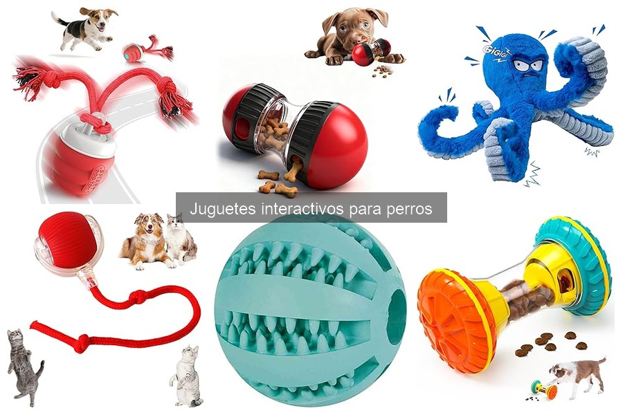 Beneficios de los juguetes interactivos para perros