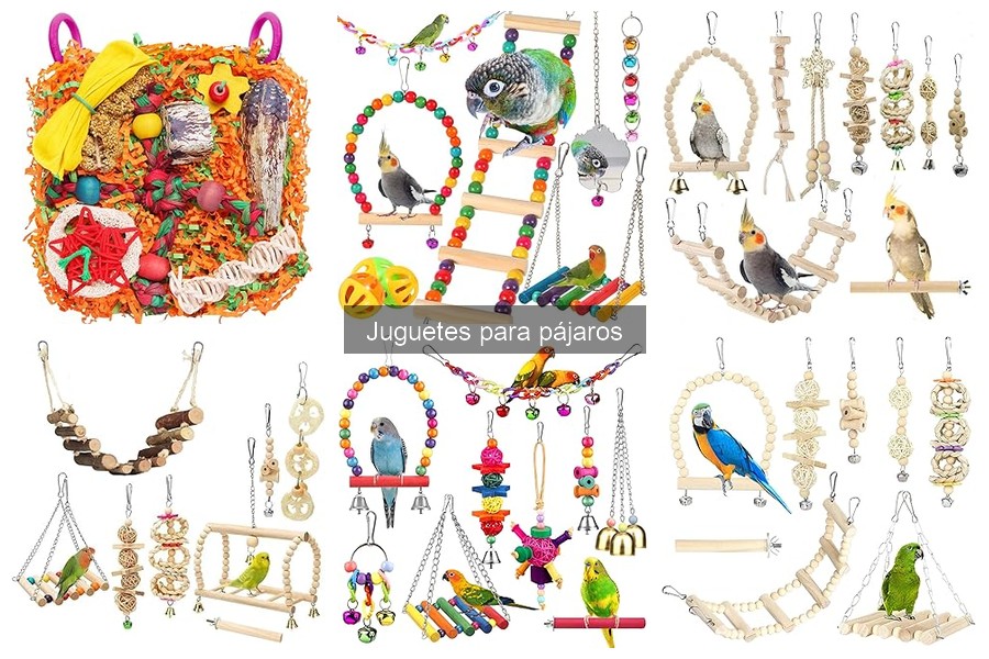Beneficios de los juguetes para el bienestar de los pájaros