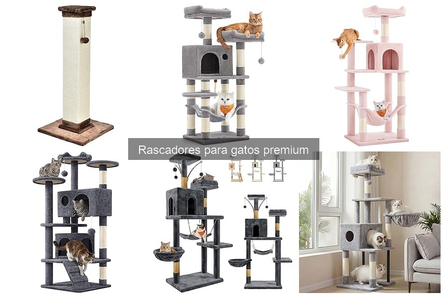 Beneficios de Rascadores Premium para Gatos: ¡Descúbrelos!