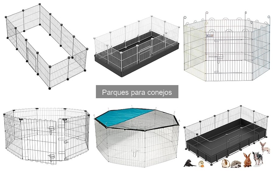 Beneficios de socializar conejos en parques para su bienestar