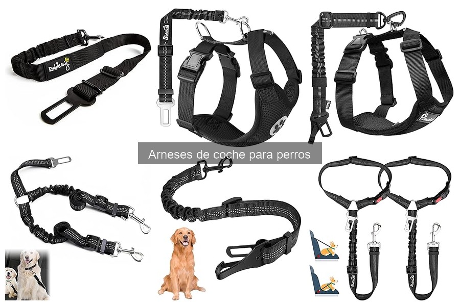 Beneficios de usar arneses de coche para perros