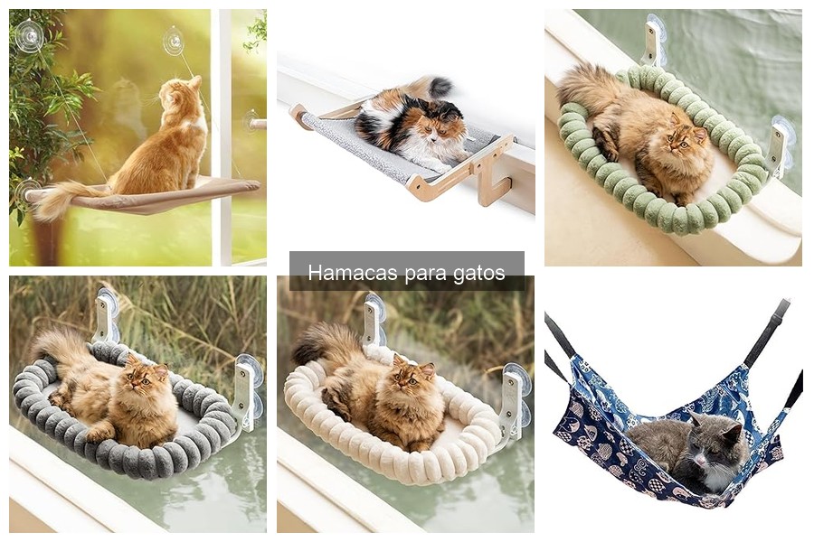 Beneficios de usar hamacas para gatos: confort y salud