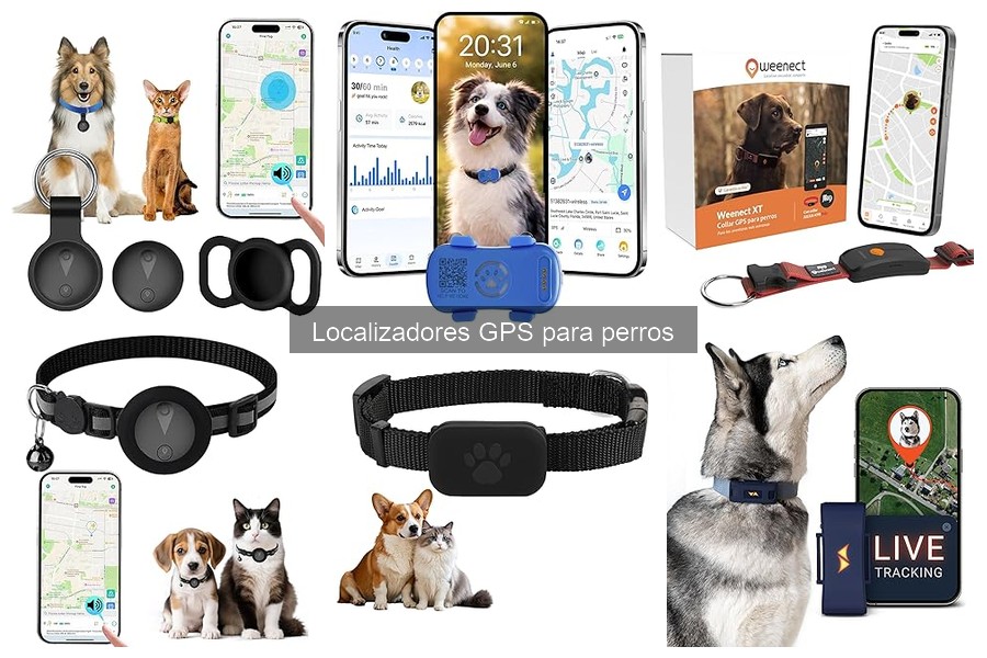 Beneficios del Localizador GPS para Perros en Emergencias