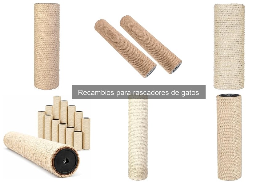 Beneficios Psicológicos de Recambios para Rascadores de Gatos