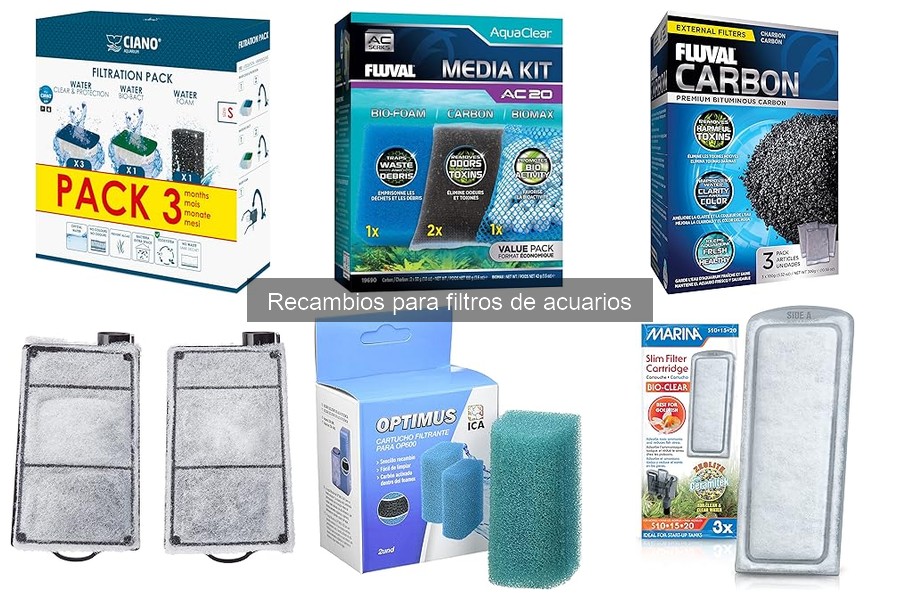 ¿Cada cuánto cambiar los recambios de filtros de acuarios?