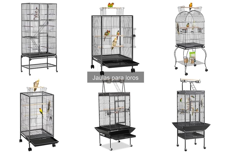 Calidades de seguridad en jaulas para loros: guía esencial