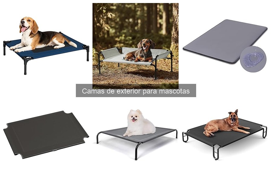 Camas de Exterior para Mascotas: Características y Beneficios