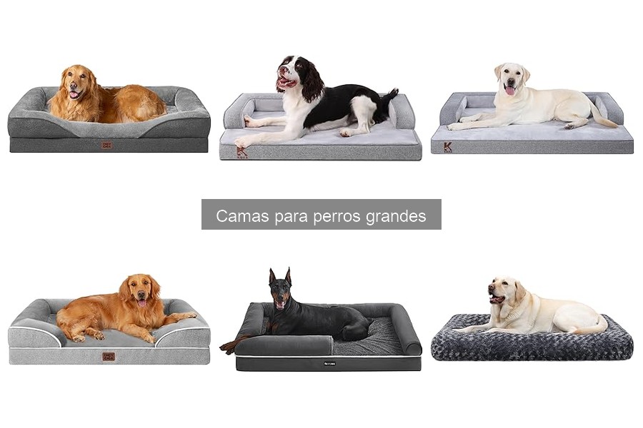 Camas ideales para perros grandes con problemas articulares