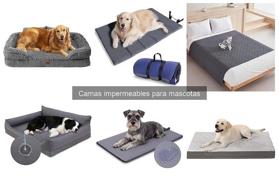 Camas Impermeables para Mascotas: Beneficios y Características