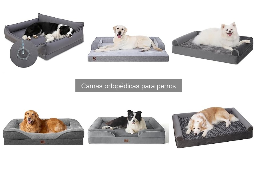 Camas ortopédicas vs. camas convencionales para perros