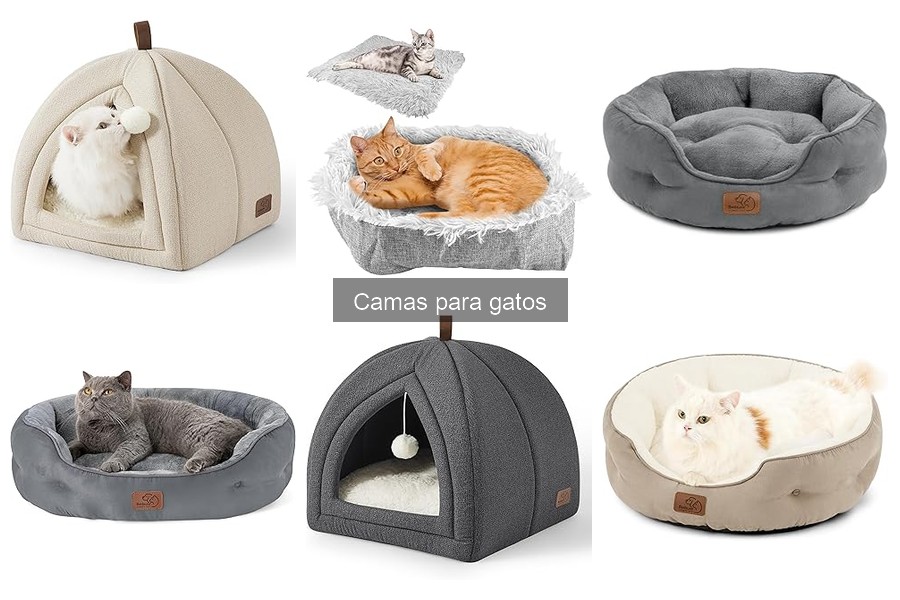 Camas para gatos con problemas de salud: Mejores opciones