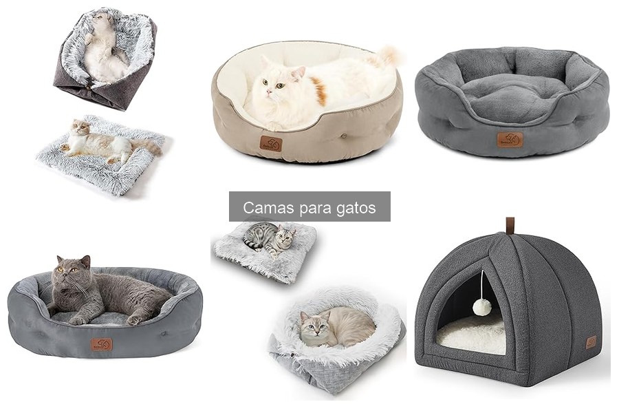 Camas para gatos vs. mantas: ¿Cuál es la mejor opción?
