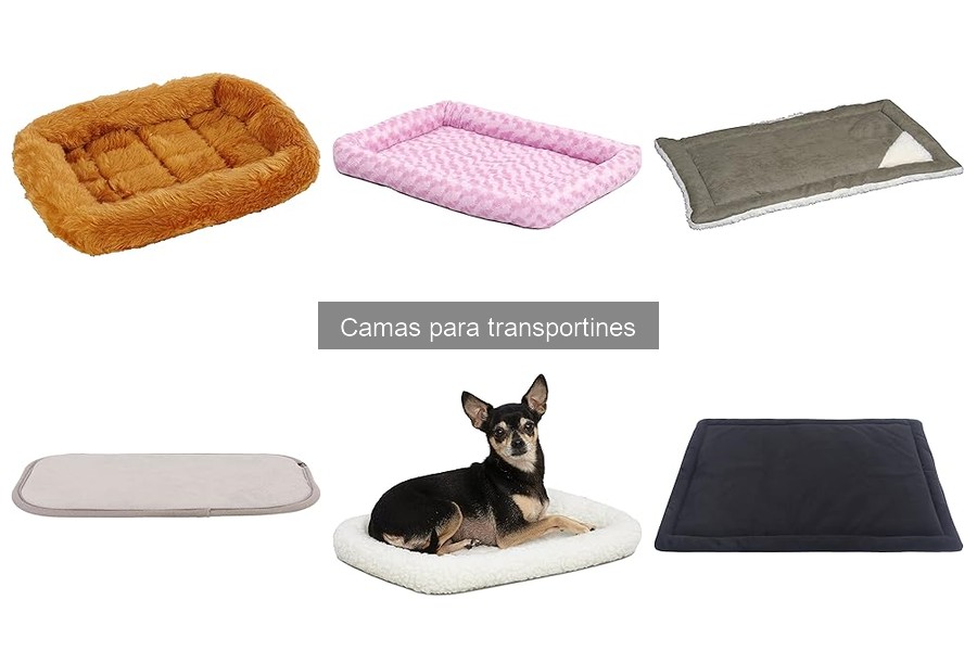 Camas para Transportines: ¿Qué son y sus beneficios?