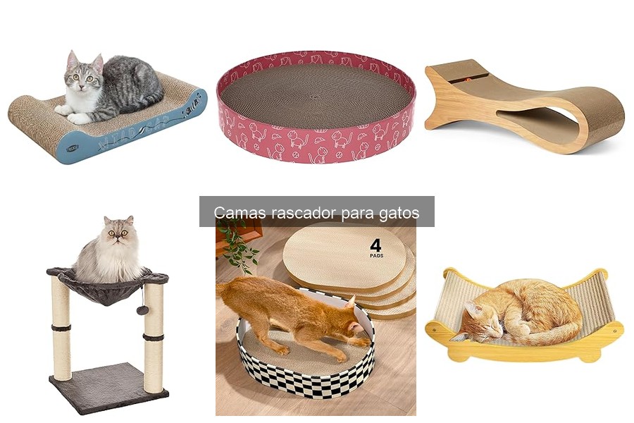 Camas Rascador para Gatos: Beneficios y Funciones