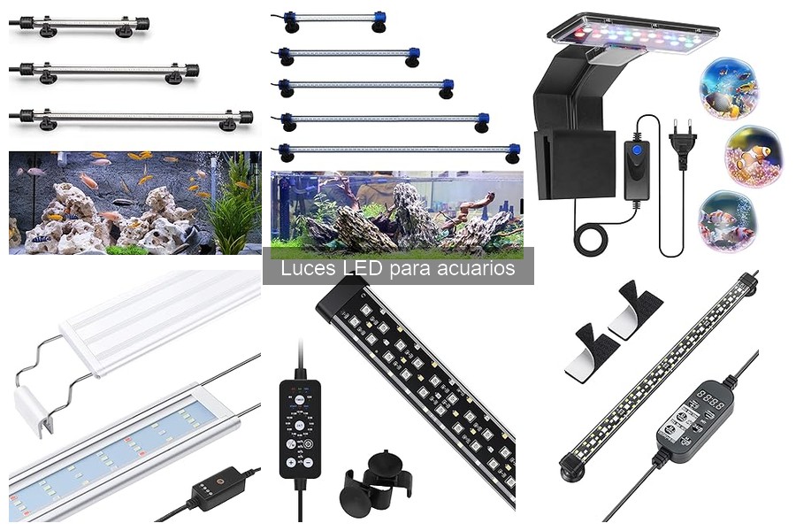 Cambia a Luces LED para Acuarios: Beneficios y Ventajas