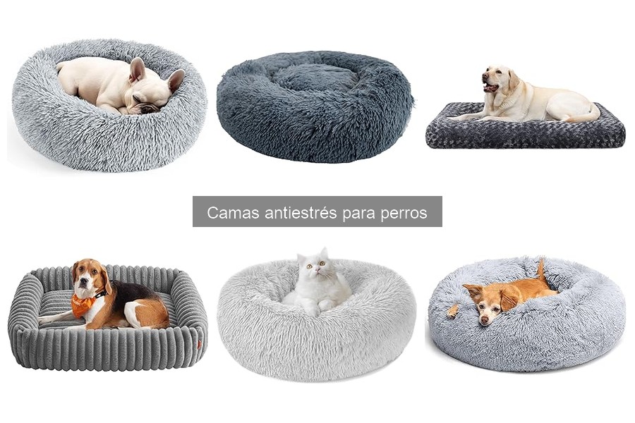 Características clave de camas antiestrés para perros