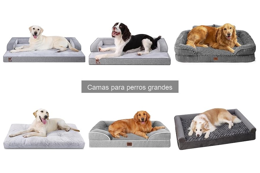 Características Clave de Camas para Perros Grandes