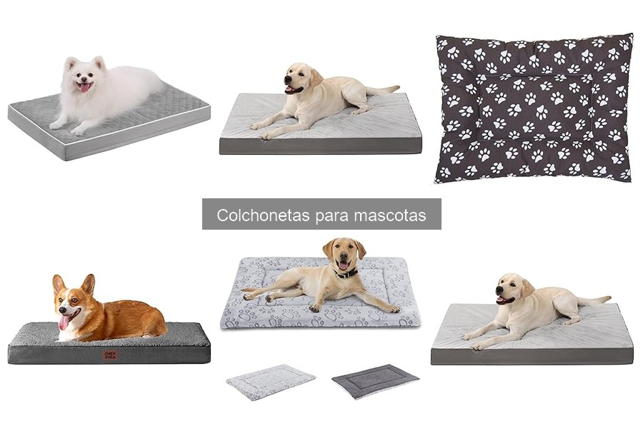 Características clave de colchonetas para perros con alergias