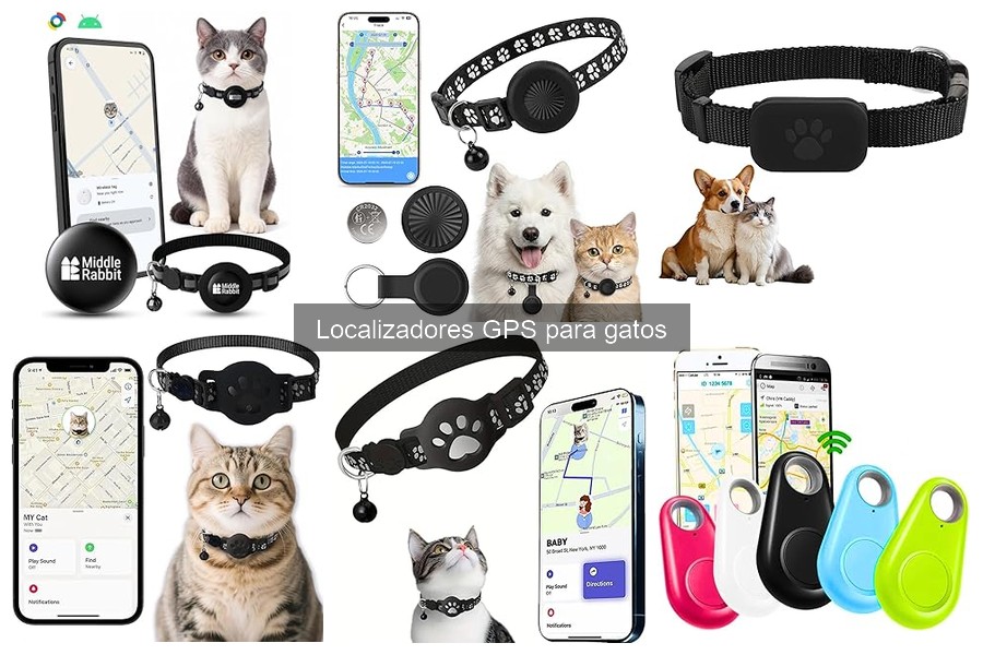Características clave de los localizadores GPS para gatos