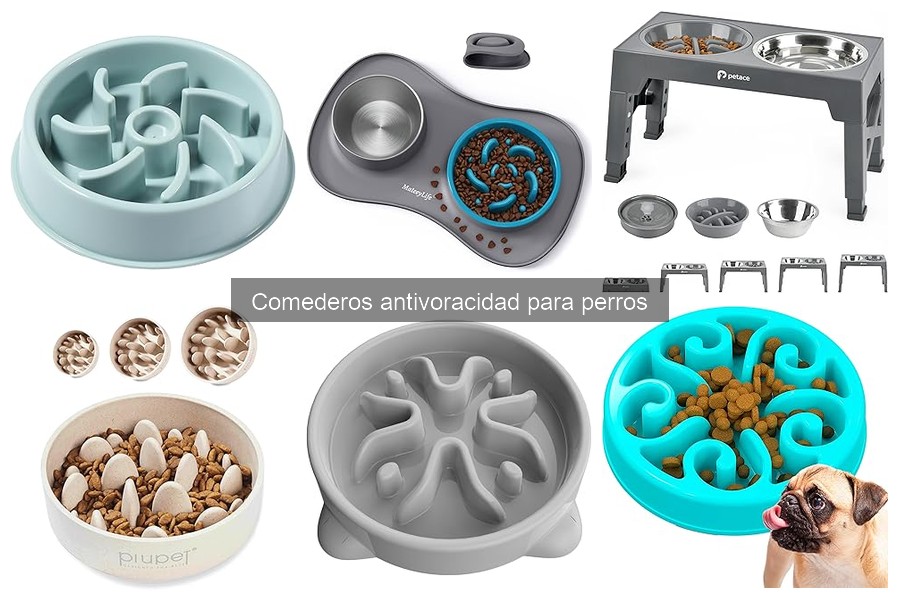 Características clave de un comedero antivoracidad para perros
