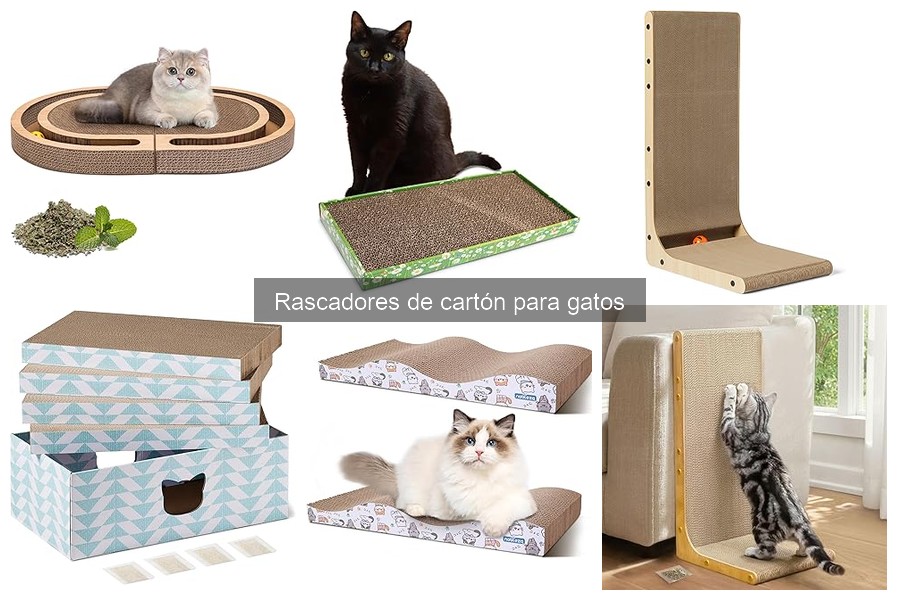 Características de los Mejores Rascadores de Cartón para Gatos
