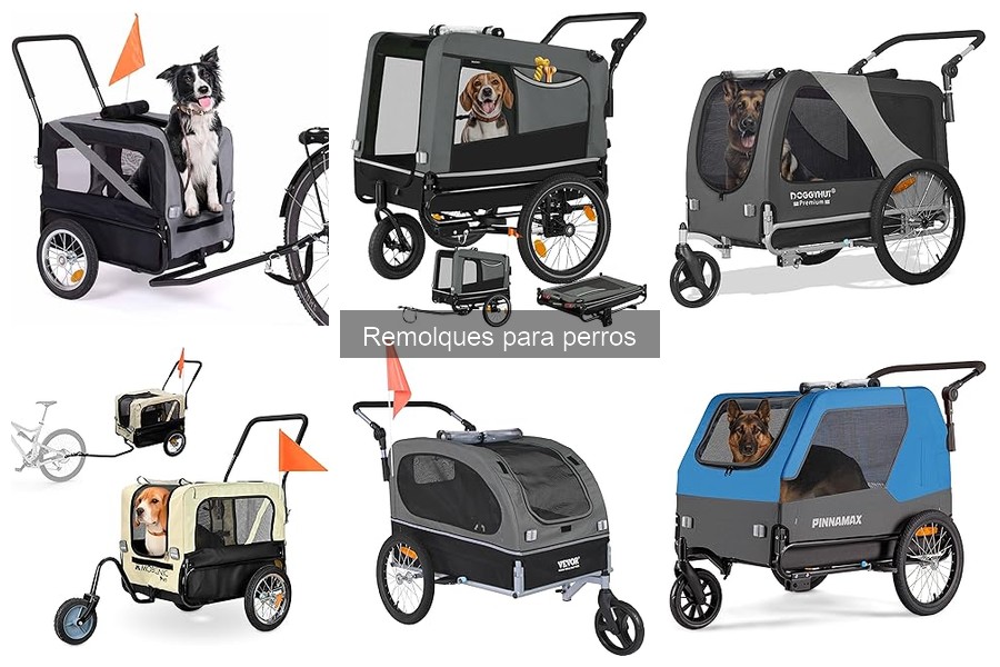 Características esenciales de un remolque para perros