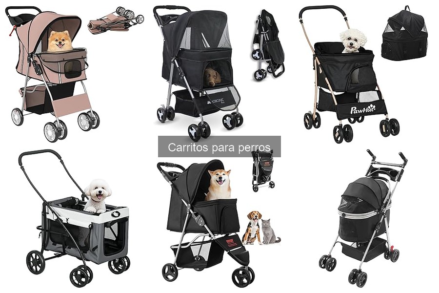 Carritos para perros baratos: dónde comprarlos en línea