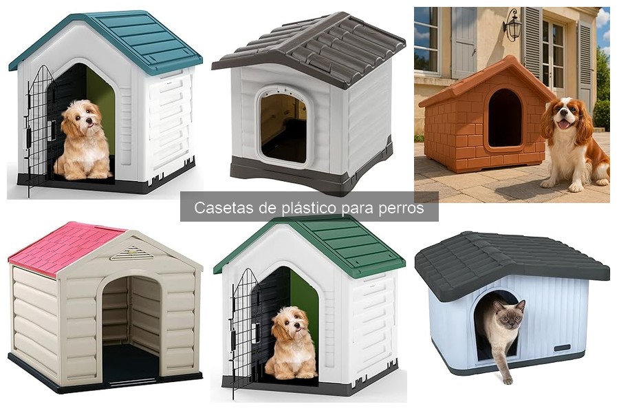 Casetas de Plástico para Perros: ¿Son Adecuadas en Climas Fríos?