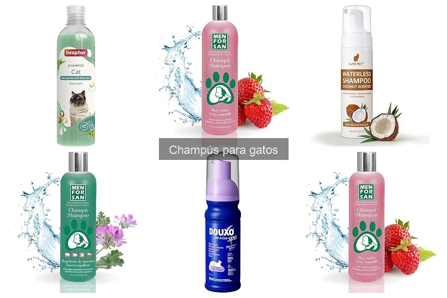 Champús para Gatos con Piel Sensible: Guía y Recomendaciones