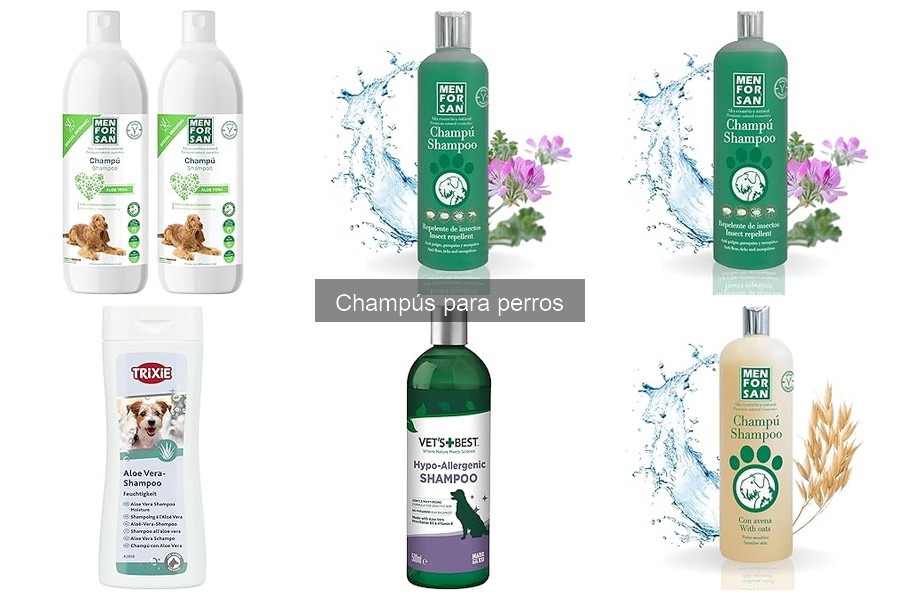 Champús para perros con alopecia: ¿Cuáles son los mejores?
