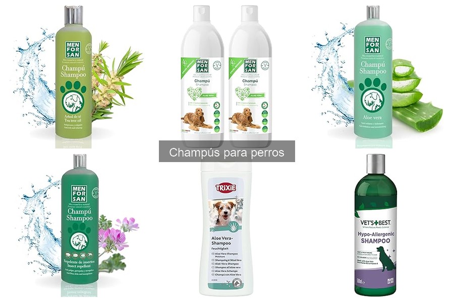 Champús para perros: mejores opciones por tamaño de raza