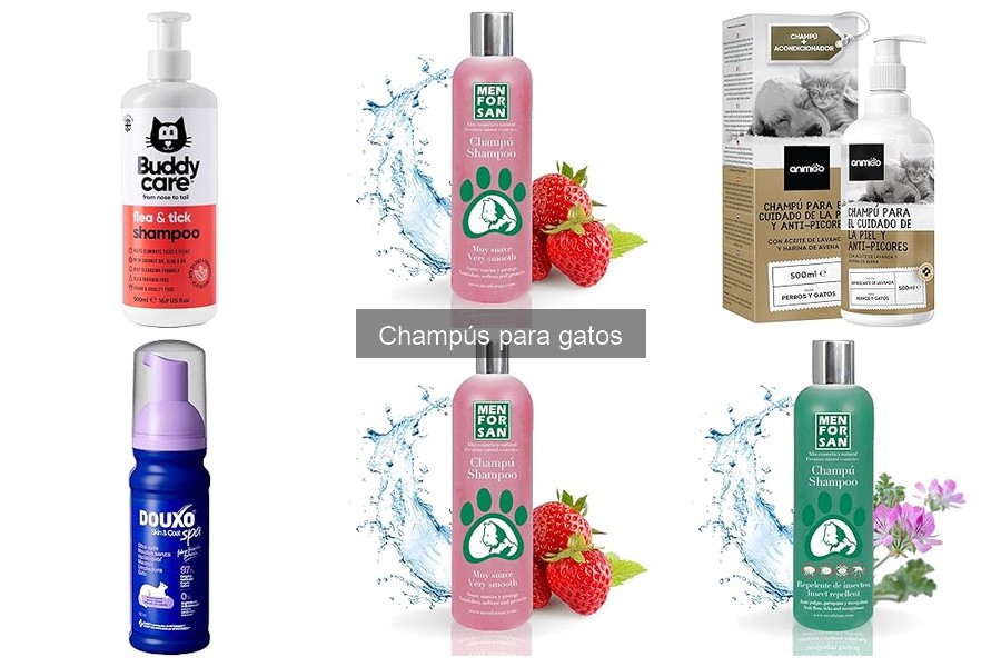 Champús seguros para gatos: Ingredientes y características importantes
