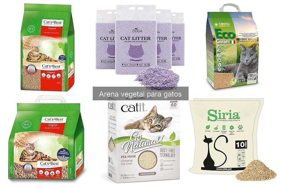 ¿Coagula la orina en la arena vegetal para gatos?