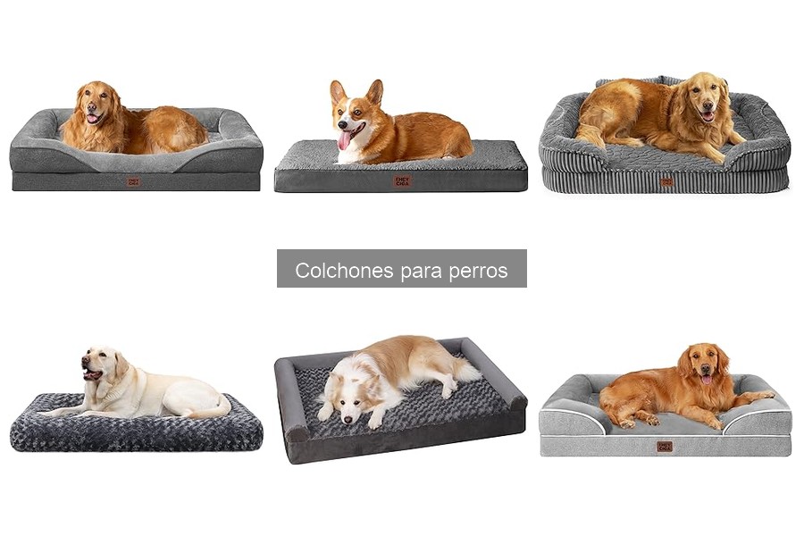 Colchones para Perros Grandes vs. Pequeños: ¿Cuál Elegir?