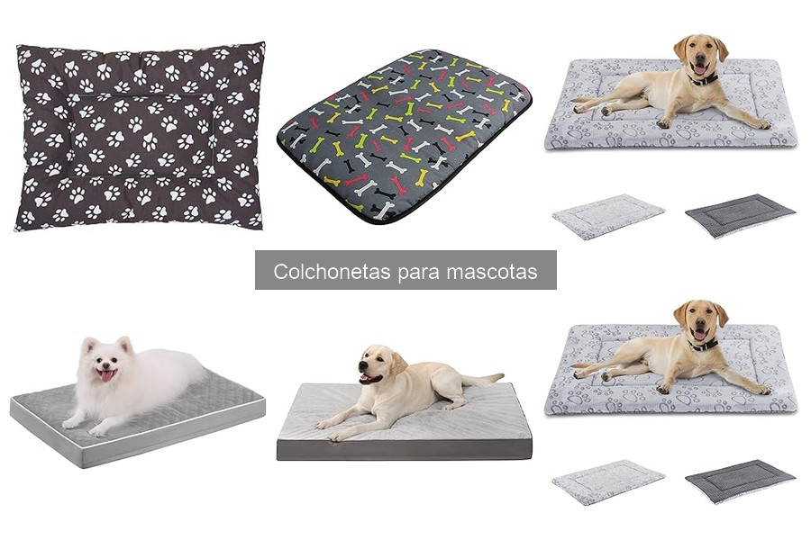 Colchonetas para mascotas: Mejores tiendas y precios