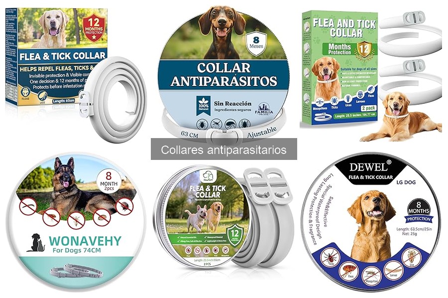 Collares antiparasitarios para mascotas: ¿qué son y cómo funcionan?