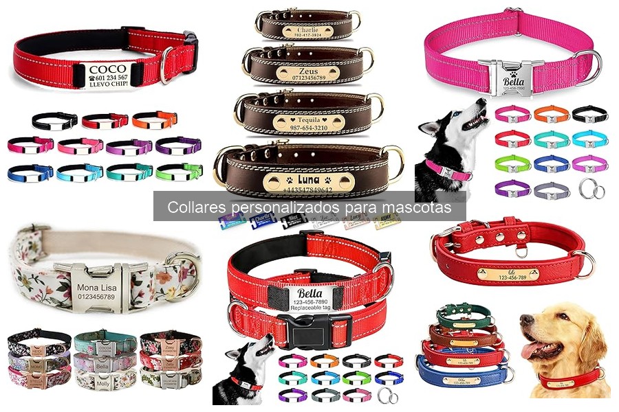 Collares Personalizados para Mascotas: Todo lo que Debes Saber